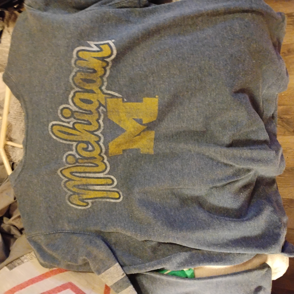 Michigan Blue and Gold Sweatshirt